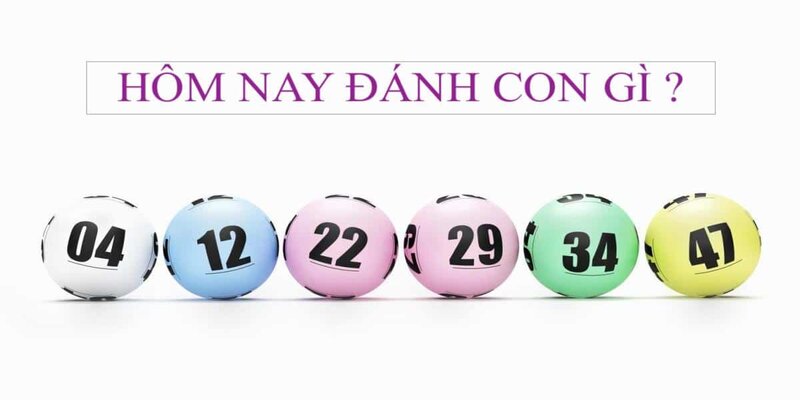 Các con số tham khảo đề về 96 hôm sau đánh con gì