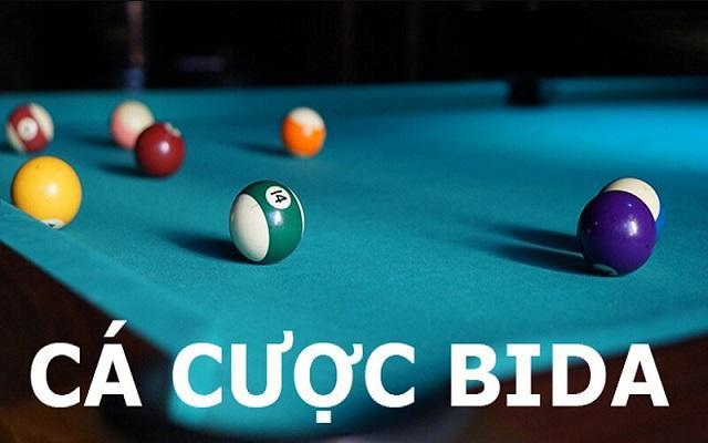 Bạn hiểu như thế nào là cá cược bida