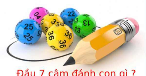 Khám phá lô câm đầu 7 đánh con gì hôm sau giúp thắng đậm?