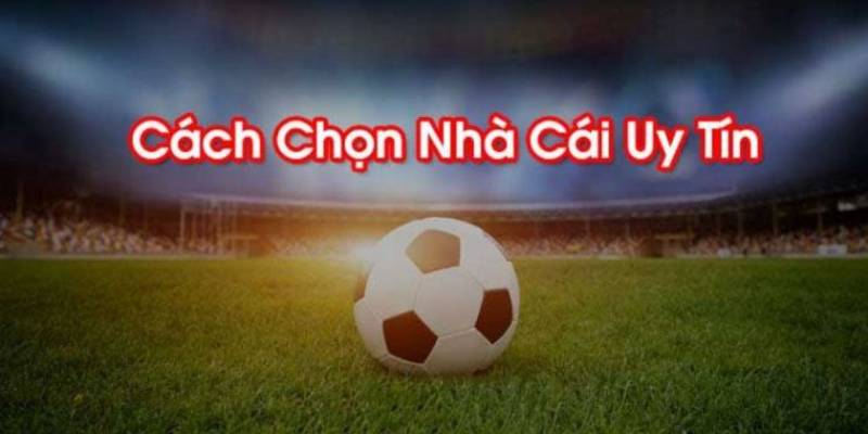 Review cách chọn nhà cái