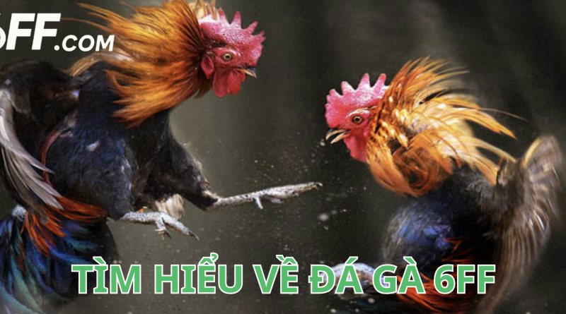Đá Gà 6FF Có Các Kèo Nào Và Bí Quyết Chơi Dễ Thắng