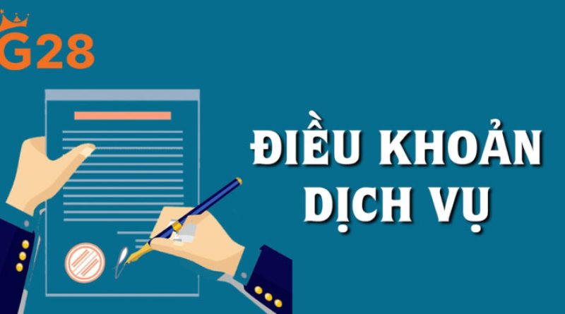 Điều khoản dịch vụ G28 – Trách nhiệm và nghĩa vụ